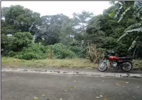 Vacant Lot in Lot 29, Block 4, Cypress St. La Marea Subdivision, Phase 1, Barangay San Antonio, San Pedro, Laguna - Foreclosed Property