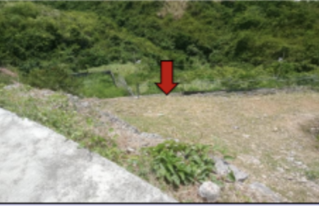 Vacant Lot in Lot 7, Nyale Street, Kishanta Subdivision, Barangay Candulawan, Talisay City, Cebu - Foreclosed Property