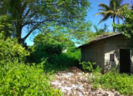 Vacant Lot in LOT 23-HH, BRGY. VALDEFUENTE, CABANATUAN CITY, NUEVA ECIJA - Foreclosed Property