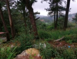 Vacant Lot in LOT NOS. 29-B-18-H-8, 29-B-18-H-9, 29-B-18-H-11 & 29-B-18- H-12 UNNAMED ROAD, BAKAKENG CENTRAL, SANTO TOMAS DISTRICT, BAGUIO CITY, BENGUET - Foreclosed Property