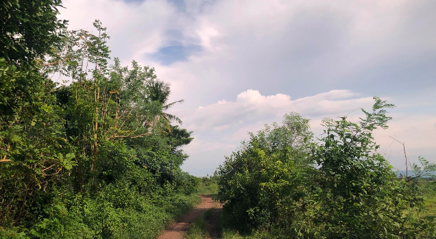 Vacant Lot in Lot 1-B-1-N, Hacienda Marasigan, Brgy. Manapaw, Minalabac, Camarines Sur - Foreclosed Property