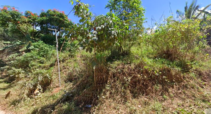 Vacant Lot in Aries Subd., (Phase 1 & II) Brgy. Dalig & San Isidro, Antipolo City, Rizal - Foreclosed Property