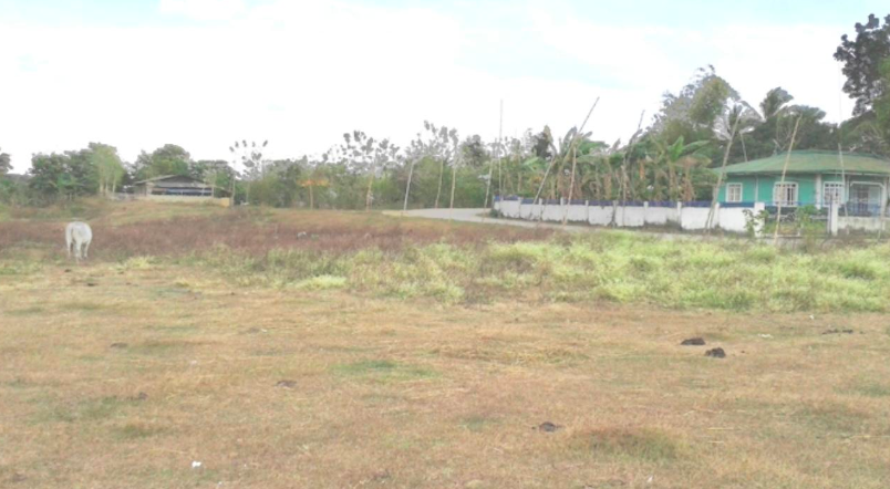 Vacant Lot in Lot 41 Blk 74, Sherwood Hills Residential Estate & Golf and Country Club, Brgys. Cabezas & Lallana, Trece Marteres City (Capital), Cavite - Foreclosed Property