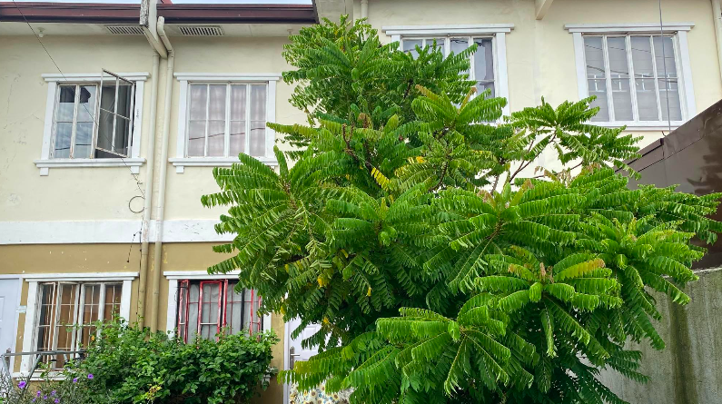 House & Lot in Lot 17, Block 1, Road Lot 4, Kensington 21, Barangay Navarro, General Trias, Cavite - Foreclosed Property