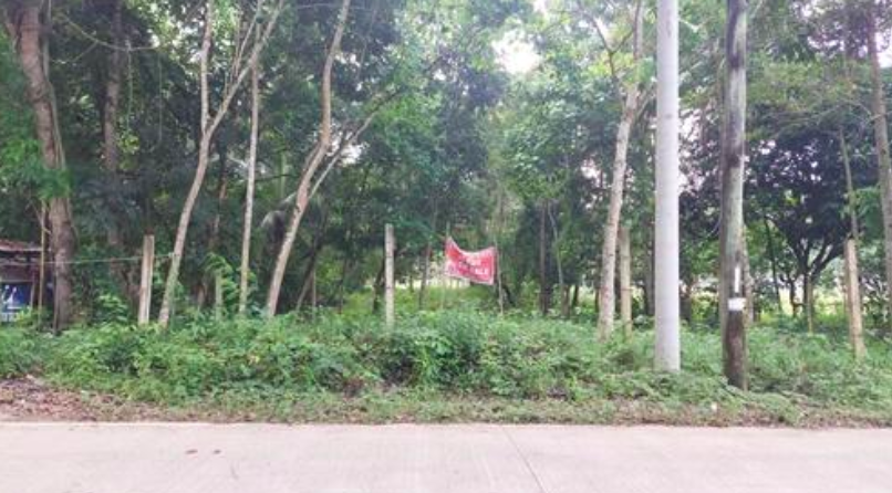 Vacant Lot in Lot 818-A, Existing Road, Barangay Toril, Babak, Samal Island Garden City, Davao del Norte - Foreclosed Property