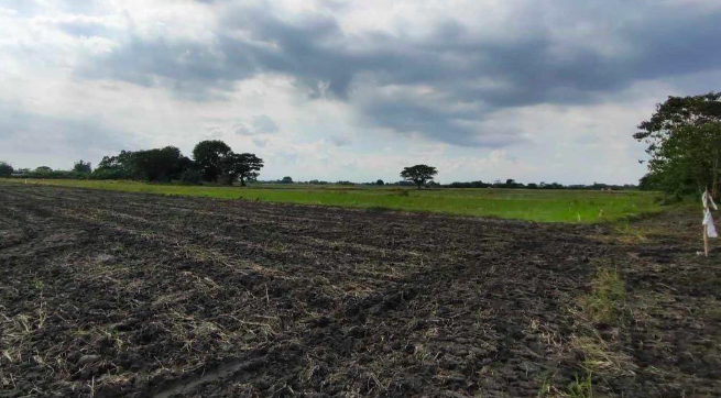 Vacant Lot in Sitio Labac, Bo. Balincanaway, Tarlac City, Tarlac - Foreclosed Property