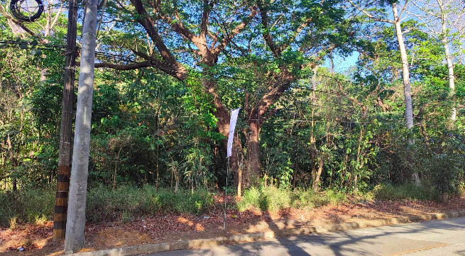 Vacant Lot in Lot 1, Don Celso Tuazon Ave., Valley Golf Subd., Brgy. Mayamot, Antipolo City, Rizal - Foreclosed Property