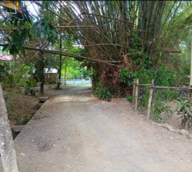 Vacant Lot in Lot 7808, Barangay Bagacay, Pototan, Iloilo - Foreclosed Property
