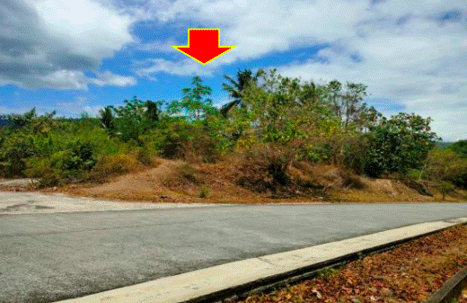 Vacant Lot in Lot 8 Block 6, along Road Lot 2 Hacienda Cascada, Barangay San Gabriel, Laurel, Batangas - Foreclosed Property