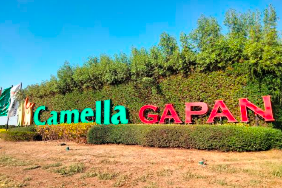 House & Lot in Lot 12, Block 20, Unnamed Road Camella Gapan, Barangay Sto, Cristo Sur, Gapan City, Nueva Ecija - Foreclosed Property