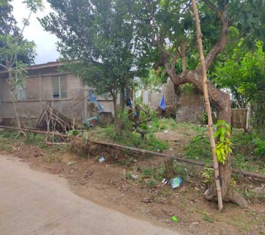 House & Lot in Lot 9, Psu-213378 along Madalunot Road, Barangay Matipok, Calaca City, Batangas - Foreclosed Property