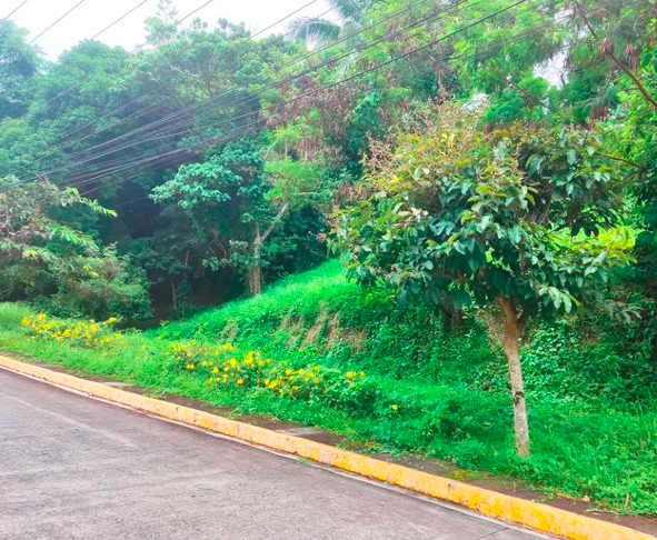 Vacant Lot in Block 3, Lot 23, Canyon Woods, Residential Estate - Phase 1 Subdivision, Barangay San Gregorio, Laurel, Batangas - Foreclosed Property