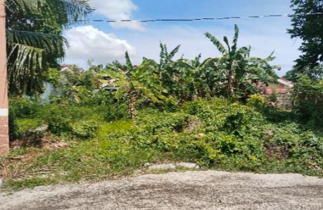 Vacant Lot in Lot 15 Block 9, Savanah Glen E, Brgy. Abilay Norte, Oton, Iloilo - Foreclosed Property