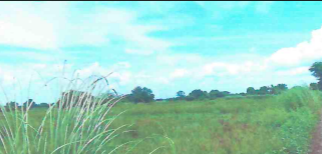 Vacant Lot in Plan Psu-14803 Along Barangay Road Inside Brgy. San Isidro/San Agustin, Santa Ana Pampanga - Foreclosed Property