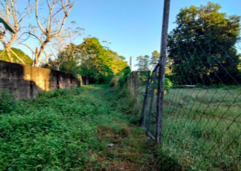 Vacant Lot in Lot 2-E & Psd-03-130988, Barangay Daan Sarile, Cabanatuan City, Nueva Ecija - Foreclosed Property