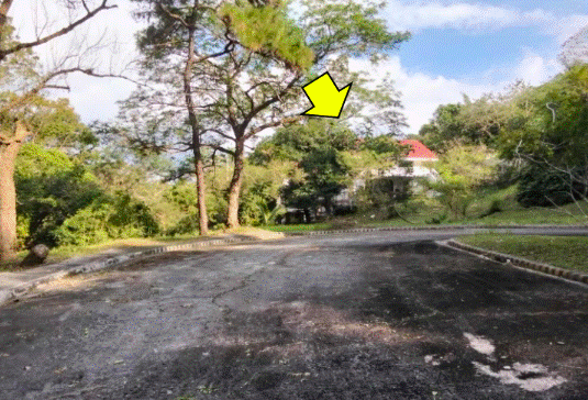 Vacant Lot in Lot 59, Block 23, Tecoma Street, Canyon Woods Residential Resort, Phase 1, Barangay San Gregorio(San Gabriel), Municipality Of Laurel, Province Of Batangas - Foreclosed Property